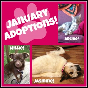 2014-1 January Adoptions