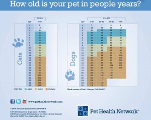 pet age