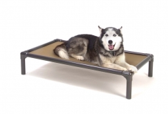 Please consider purchasing and donating a shelter bed to TAGS.  These beds provide a comfortable resting place for shelter pets.  