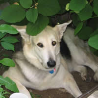 My Keisha sitting in the shade June 2006 240